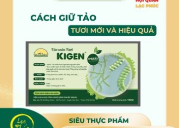 Cách giữ tảo xoắn Spirulina Kigen luôn tươi mới và hiệu quả