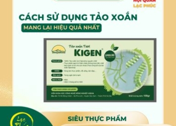Cách sử dụng tảo xoắn Spirulina Kigen hiệu quả nhất