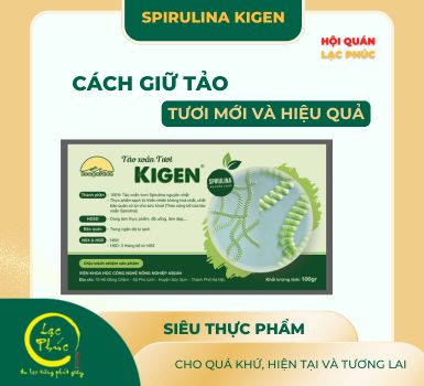 Cách giữ tảo xoắn Spirulina Kigen luôn tươi mới và hiệu quả