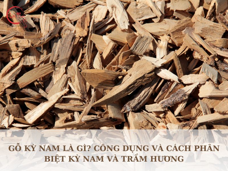 Cách nhận biết kỳ nam và trầm hương? Loại nào đắt tiền hơn?