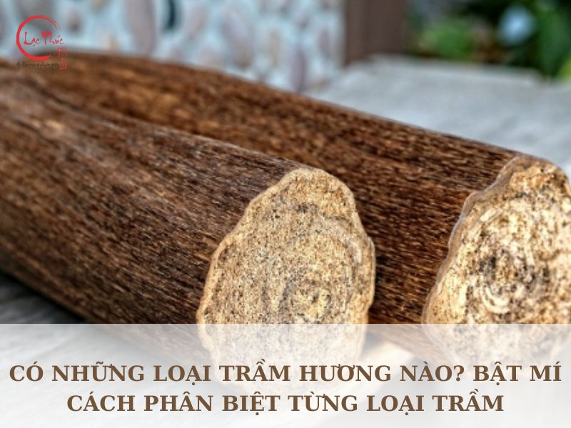 Có những loại trầm hương nào? Bật mí cách phân biệt từng loại trầm dễ dàng