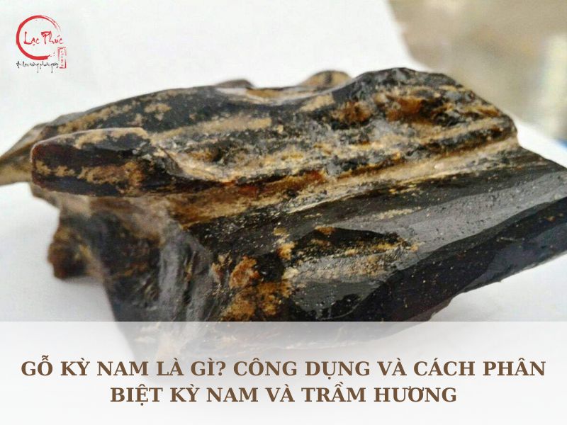 Gỗ Kỳ Nam là gì? Công dụng và cách phân biệt Kỳ Nam và Trầm Hương