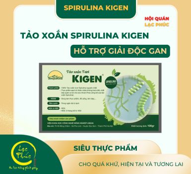 Tại sao Spirulina Kigen lại hỗ trợ gan trong việc giải độc?